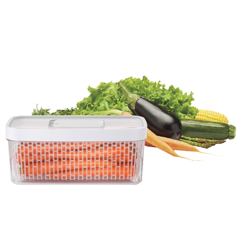 Fresh Food Greensaver Food Storage