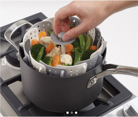 Veggie Steamer