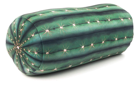 Cactus Pillow